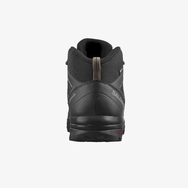 Salomon X BRAZE MID GTX 