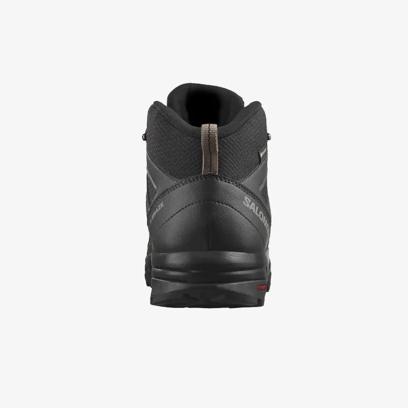 Salomon X BRAZE MID GTX 