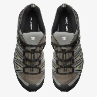 Salomon X Ultra Pioneer Gore-Tex 