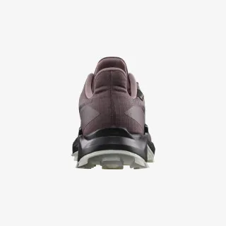 Salomon Alphacross 5 GTX 