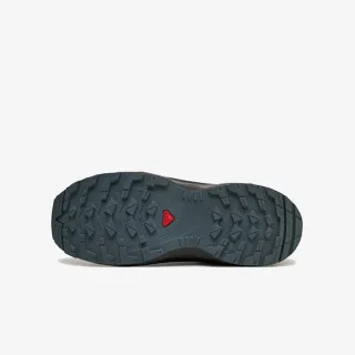 Salomon XA Pro V8 CSWP 