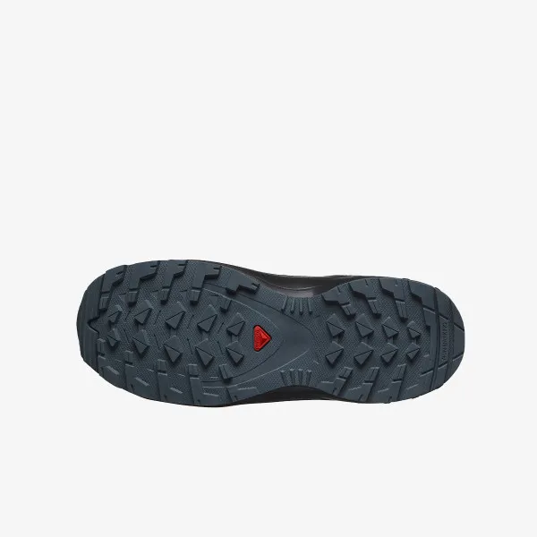 Salomon XA Pro V8 Mid CSWP 