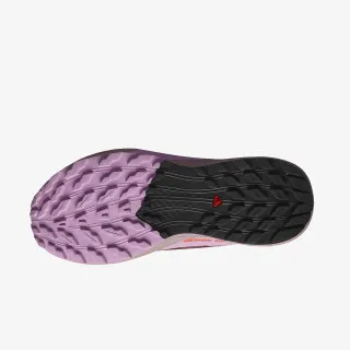 Salomon Sense Ride 5 GTX 