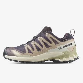 Salomon XA PRO 3D V9 GTX W 