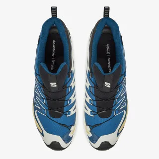 Salomon XA PRO 3D V9 GTX Bl/I 