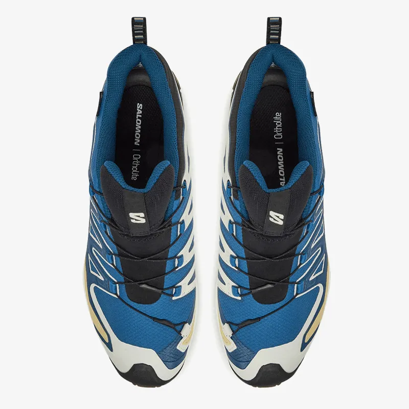 Salomon XA PRO 3D V9 GTX Bl/I 