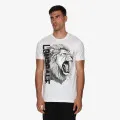 Lonsdale Lion XX 