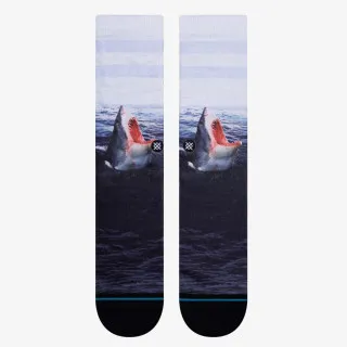 STANCE LANDLORD 