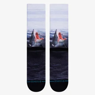 STANCE LANDLORD 