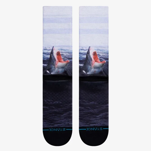 STANCE LANDLORD 