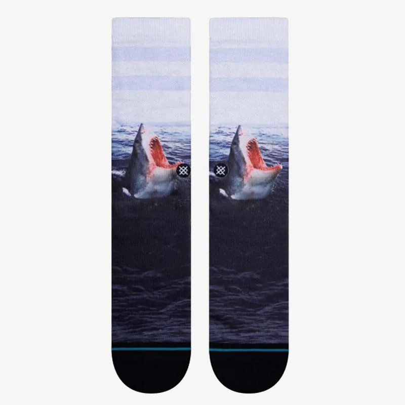 STANCE LANDLORD 