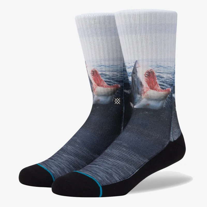 STANCE LANDLORD 