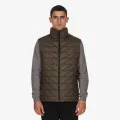 Mont Vest 