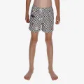 Nike 4 inch Volley Short 