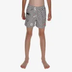Nike 4 inch Volley Short 