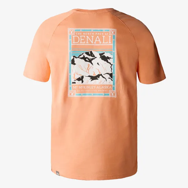 The North Face Tee 