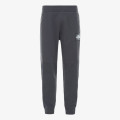 The North Face Hlače M FINE PANT ASPGRY/ASPGRY 