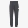 The North Face M FINE PANT ASPGRY/ASPGRY 