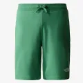 The North Face Men’s Graphic Short Light 