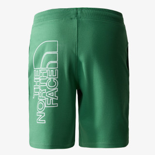 NORTH FACE KRATKE HLAČE Men’s Graphic Short Light 
