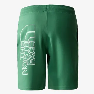The North Face Men’s Graphic Short Light 