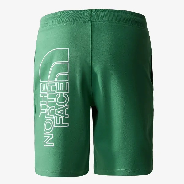 The North Face Men’s Graphic Short Light 