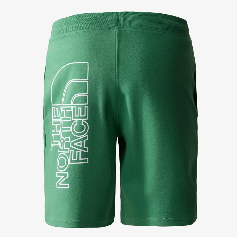 The North Face Men’s Graphic Short Light 