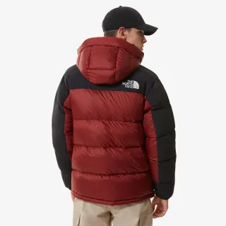 The North Face M HMLYN DOWN PARKA 