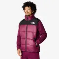 The North Face Men’s Hmlyn Insulated Vest 
