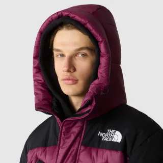 The North Face Hmlyn Insulated Parka 