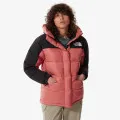 The North Face W HMLYN DOWN PARKA 