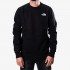 NORTH FACE MAJICA BEZ KRAGNE Men’s Raglan Redbox Crew - New 