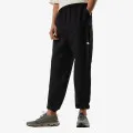 The North Face M CLASS V PANT 