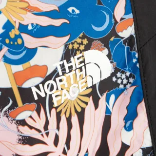 The North Face W P HYDRNLNE PNT TNFBINTLWCLNPRT 