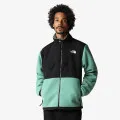 The North Face Men’s Denali Jacket 