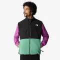 The North Face Men’s Denali Vest 