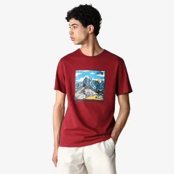 NORTH FACE T-SHIRT M SEASONAL GRAPHIC TEE CORDOVAN 