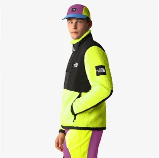 The North Face Seasonal Denali 
