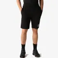 The North Face Men’s Summer Logo Short 