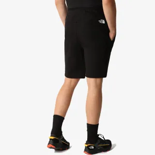 The North Face Men’s Summer Logo Short 