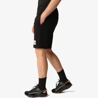 The North Face Men’s Summer Logo Short 