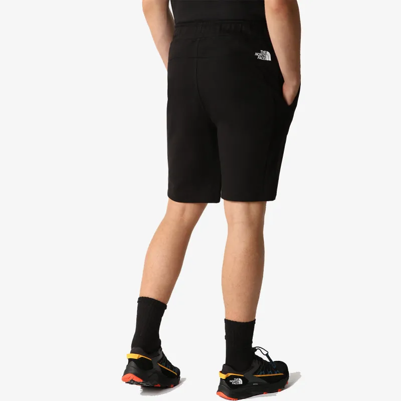 The North Face Men’s Summer Logo Short 