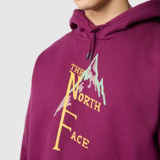 The North Face Men’s Heavyweight Hoodie 