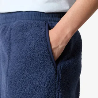 The North Face W RIPSTOP DENALI PANT 