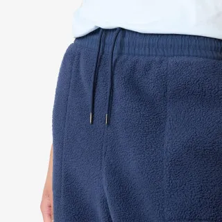 The North Face W RIPSTOP DENALI PANT 
