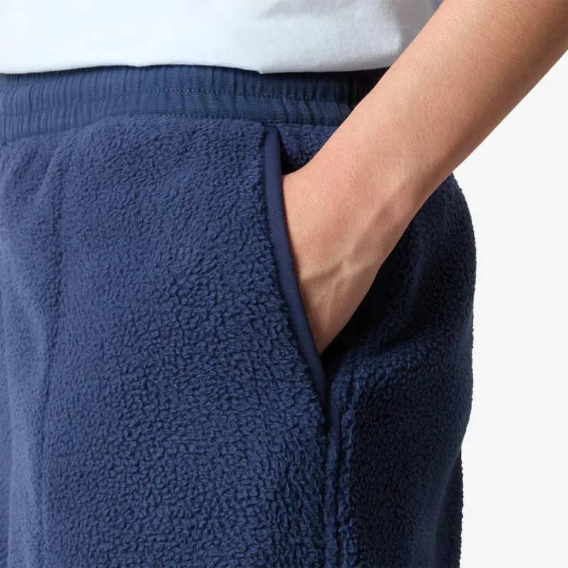 The North Face W RIPSTOP DENALI PANT 