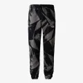 The North Face M ESSENTIAL JOGGER PRINT 