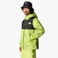The North Face M MOUNTAIN Q JACKET PRINT 