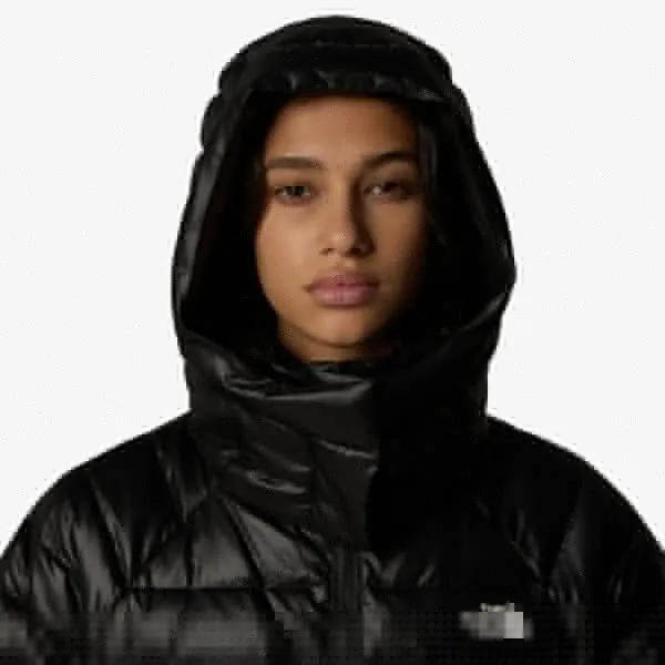 The North Face W METROPOLIS PARKA 