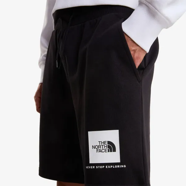 The North Face BOX NSE LIGHT REGULAR SHORTS 